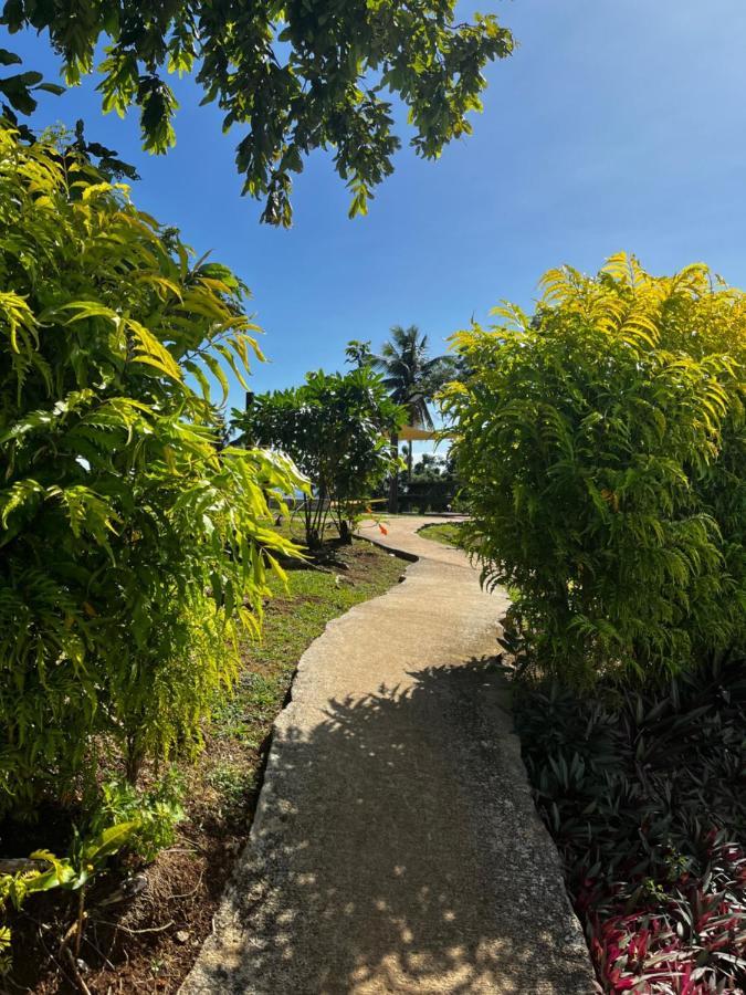 Auberge de jeunesse Camp Taveuni à Matei Extérieur photo